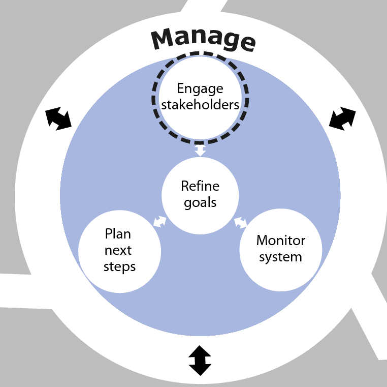 Engage stakeholders is an activity in the Manage phase of SSA