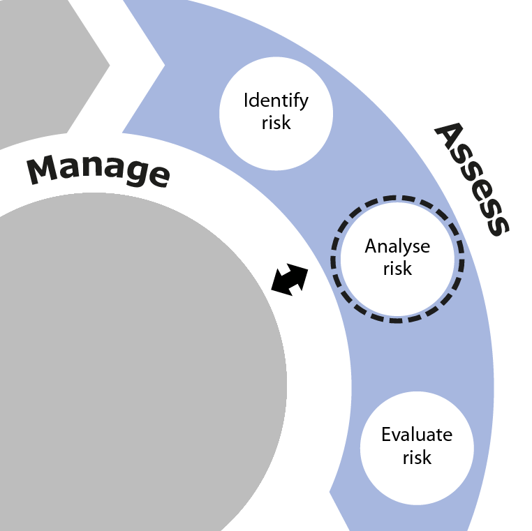 Analyse risk is the second activity in the Assess phase of SSA