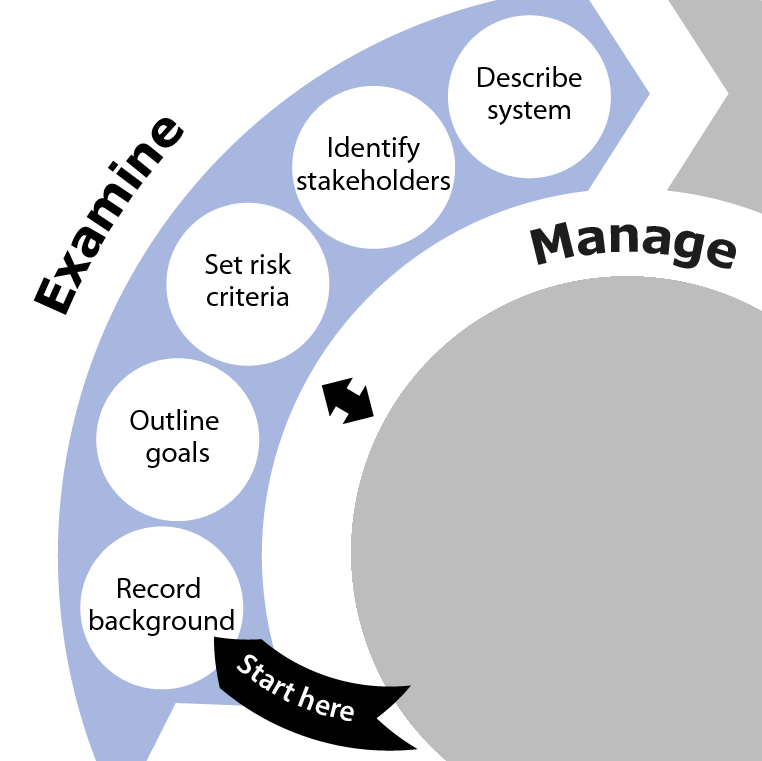 Diagram showing the Examine phase as part of the overall SSA process. This phase involves Record background, Outline goals, Set risk criteria, Identify stakeholders and Describe system.