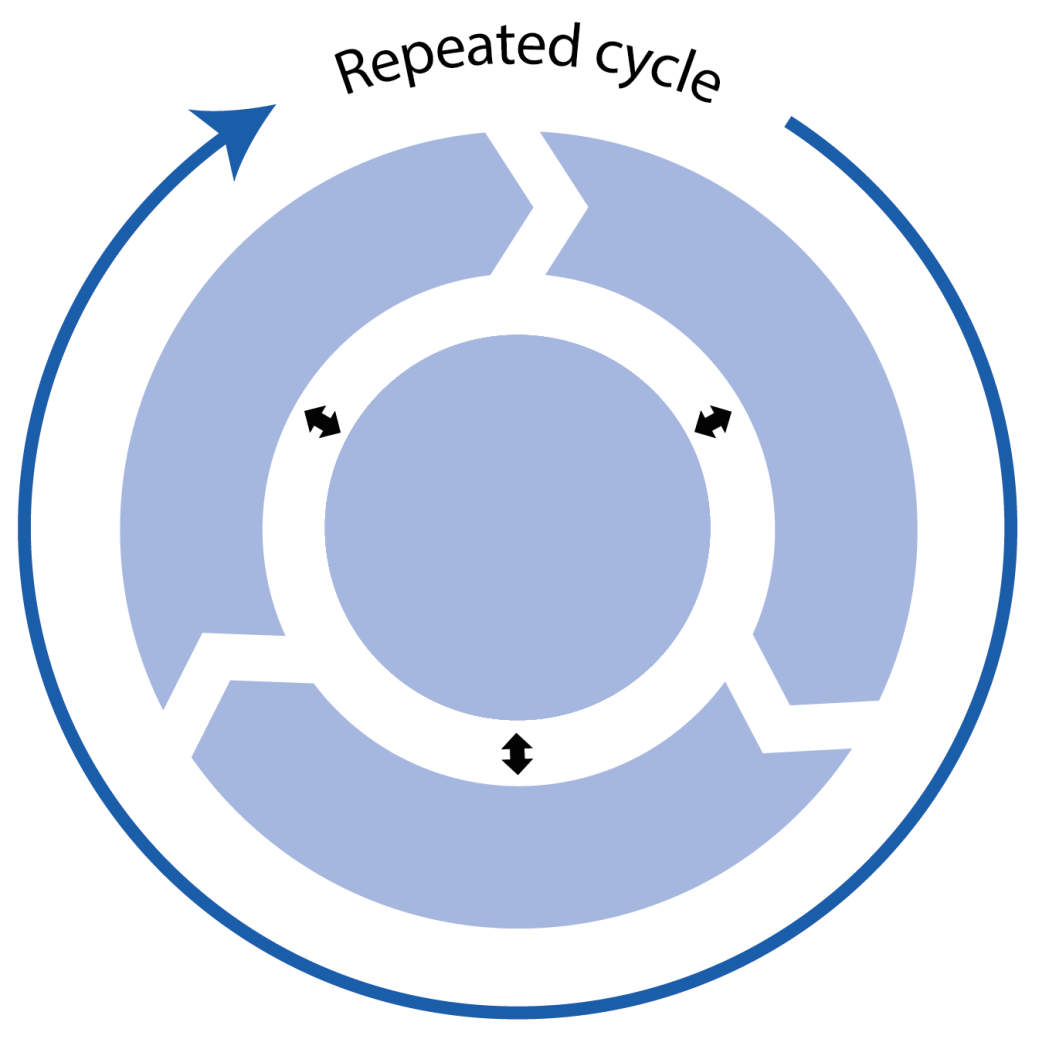 An SSA involves repeated cycles of the phases