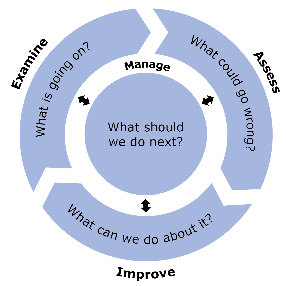 Each stage in the SSA process addresses a key question. Examine addresses What is going on? Assess looks at What could go wrong? Improve looks at What can we do about it? And Manage focuses on What should we do next in the SSA?