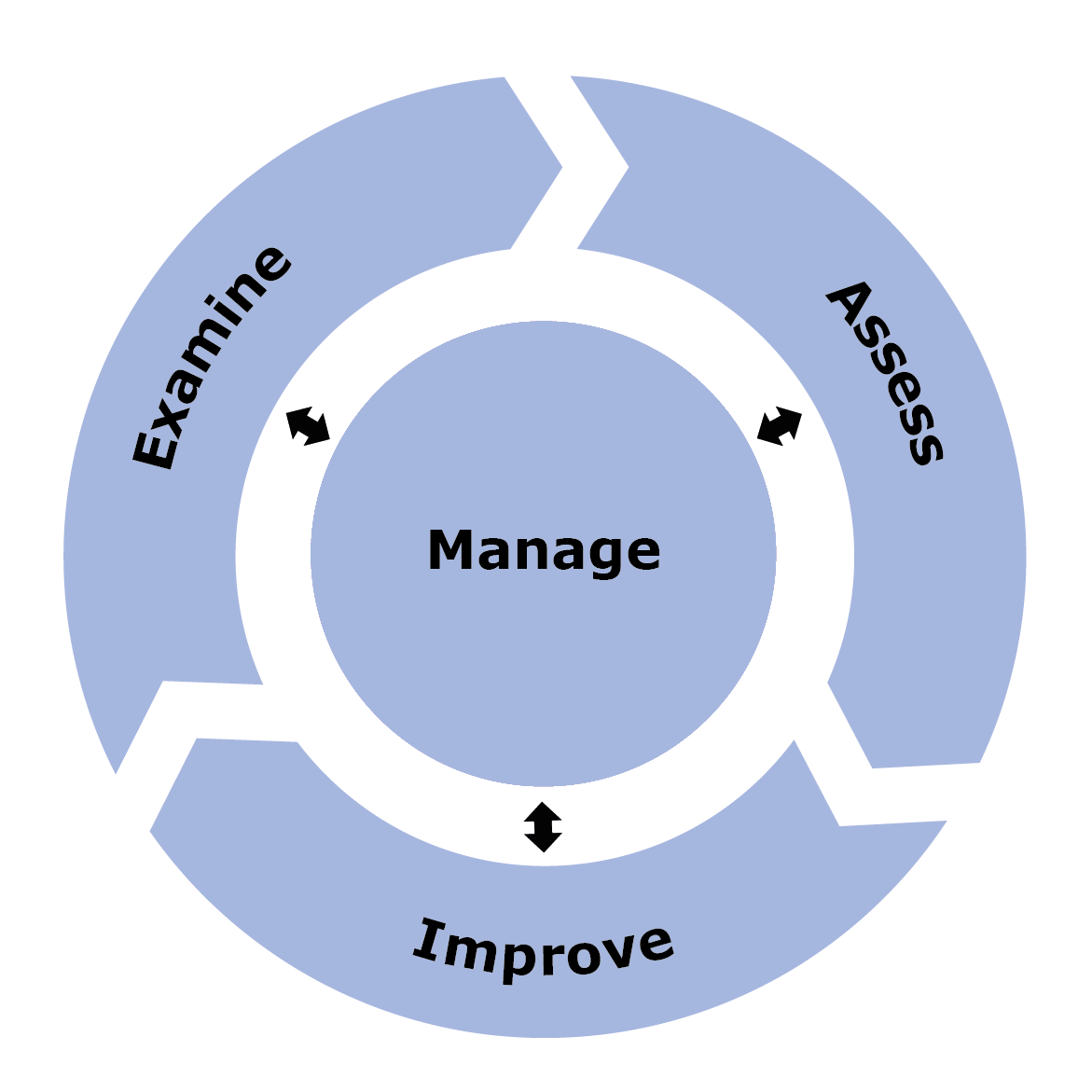 The SSA process consists of the Examine, Assess and Improve phases, guided and informed by Manage
