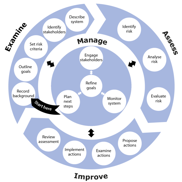 Diagram showing the key activities in an SSA and which phase of the process they belong to. The Examine phase involves Record background, Outine goals, Set risk criteria, Identify stakeholders, and Describe system. Assess involves Identify risk, Analyse risk and Evaluate risk. Improve involves Propose actions, Detail actions, Implement actions and Review assessment. Manage involves Plan next steps, Refine the goals, Engage stakeholders and Monitor system.