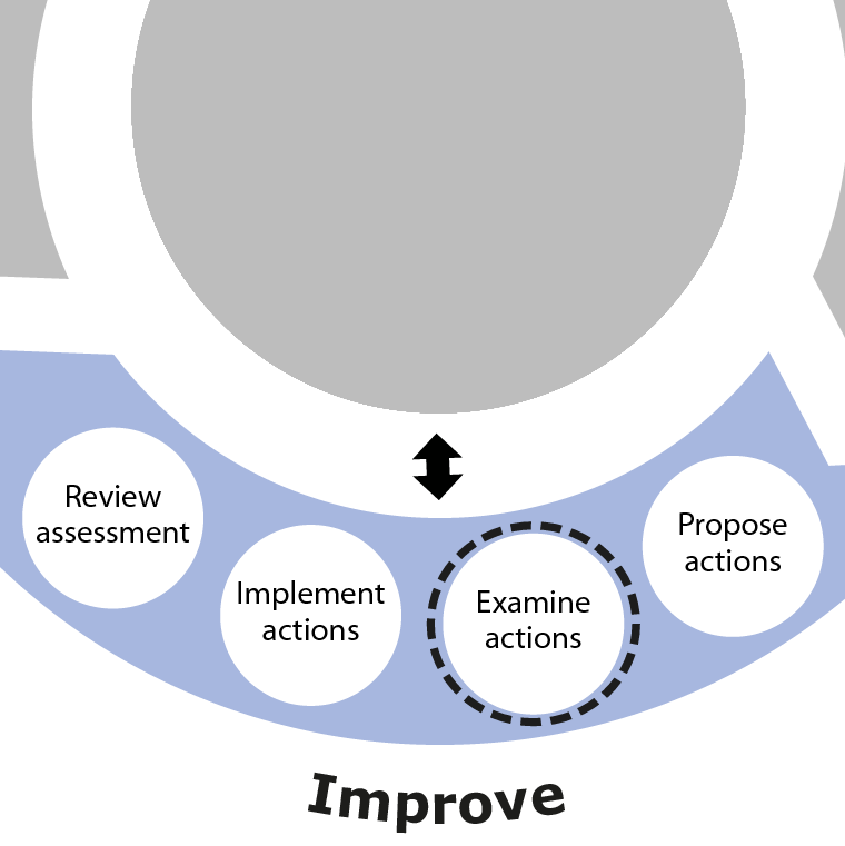 Examine actions is the second activity in the Improve phase of SSA
