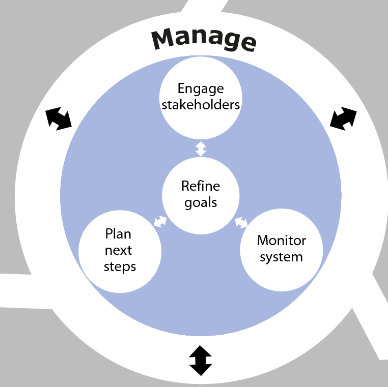 Diagram showing the Manage phase as part of the overall SSA process. This phase involves Plan next steps, Refine goals, Engage stakeholders and Monitor system.
