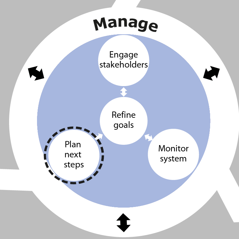 Plan next steps is an activity in the Manage phase of SSA.