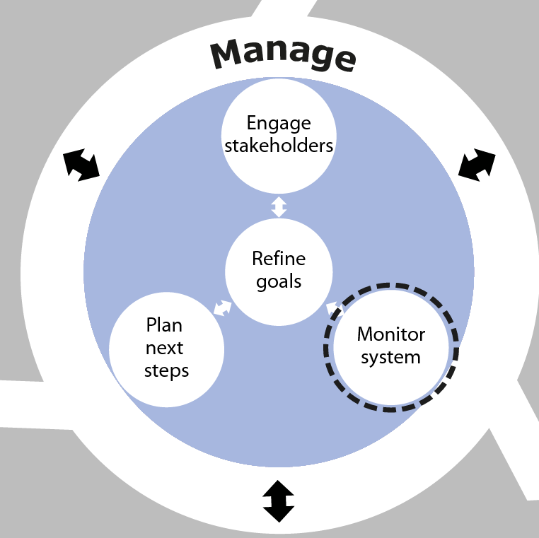 Monitor system is an activity in the Manage phase of SSA